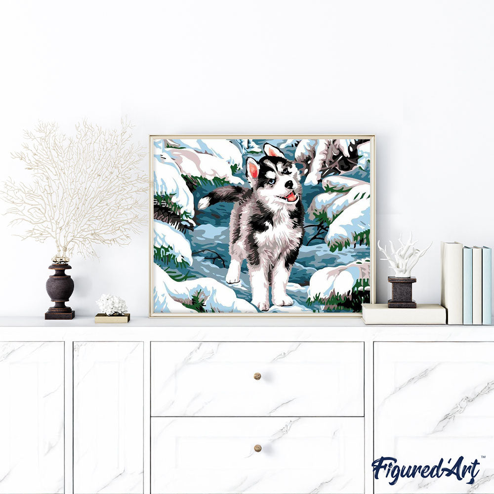 Paint by numbers - Siberian Husky – Figured'Art US