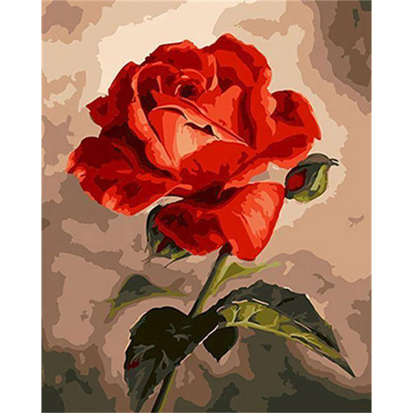 paint by numbers | beautiful red rose | new arrivals flowers easy | FiguredArt
