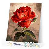 paint by numbers | beautiful red rose | new arrivals flowers easy | FiguredArt