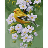 paint by numbers | bird on a flowering branch | new arrivals animals birds flowers easy | FiguredArt