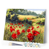 paint by numbers | field of poppies in the countryside | new arrivals landscapes flowers intermediate | FiguredArt