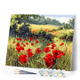 paint by numbers | field of poppies in the countryside | new arrivals landscapes flowers intermediate | FiguredArt