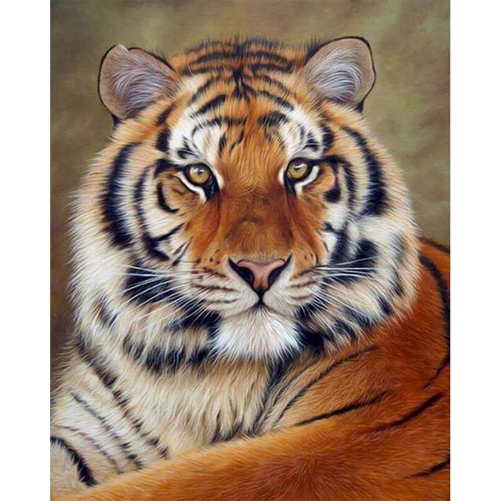 paint by numbers | tiger look | new arrivals animals tigers advanced | FiguredArt