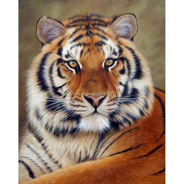 paint by numbers | tiger look | new arrivals animals tigers advanced | FiguredArt