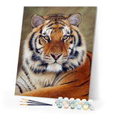 paint by numbers | tiger look | new arrivals animals tigers advanced | FiguredArt