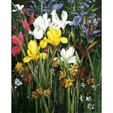 paint by numbers | colorful field of flowers | new arrivals flowers advanced | FiguredArt
