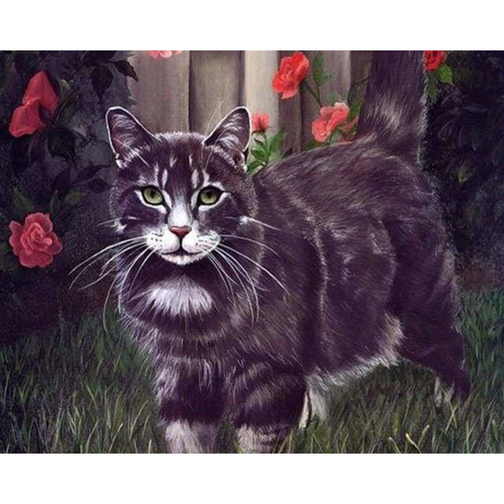 paint by numbers | Black Cat | advanced animals cats | FiguredArt