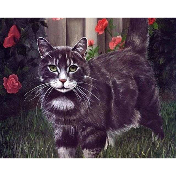 paint by numbers | Black Cat | advanced animals cats | FiguredArt