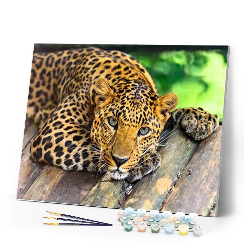 Paint by numbers | Beautiful cheetah | animals advanced panthers | Figured'Art