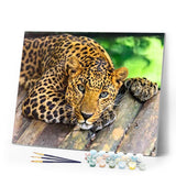 Paint by numbers | Beautiful cheetah | animals advanced panthers | Figured'Art