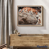 paint by numbers | Lynx | advanced animals | FiguredArt