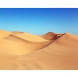 paint by numbers | Blue Sky in the Desert | easy landscapes | FiguredArt