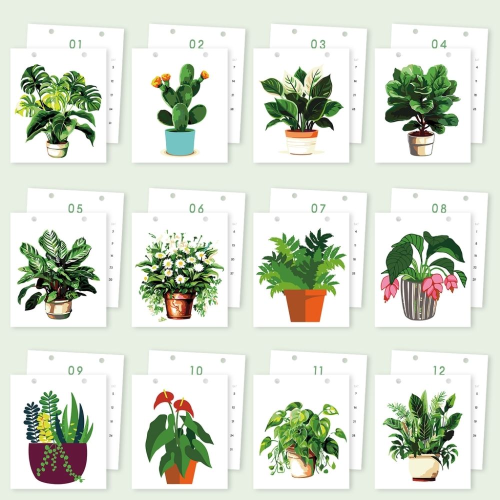 Paint by Numbers Calendar 2026 - Potted Houseplants