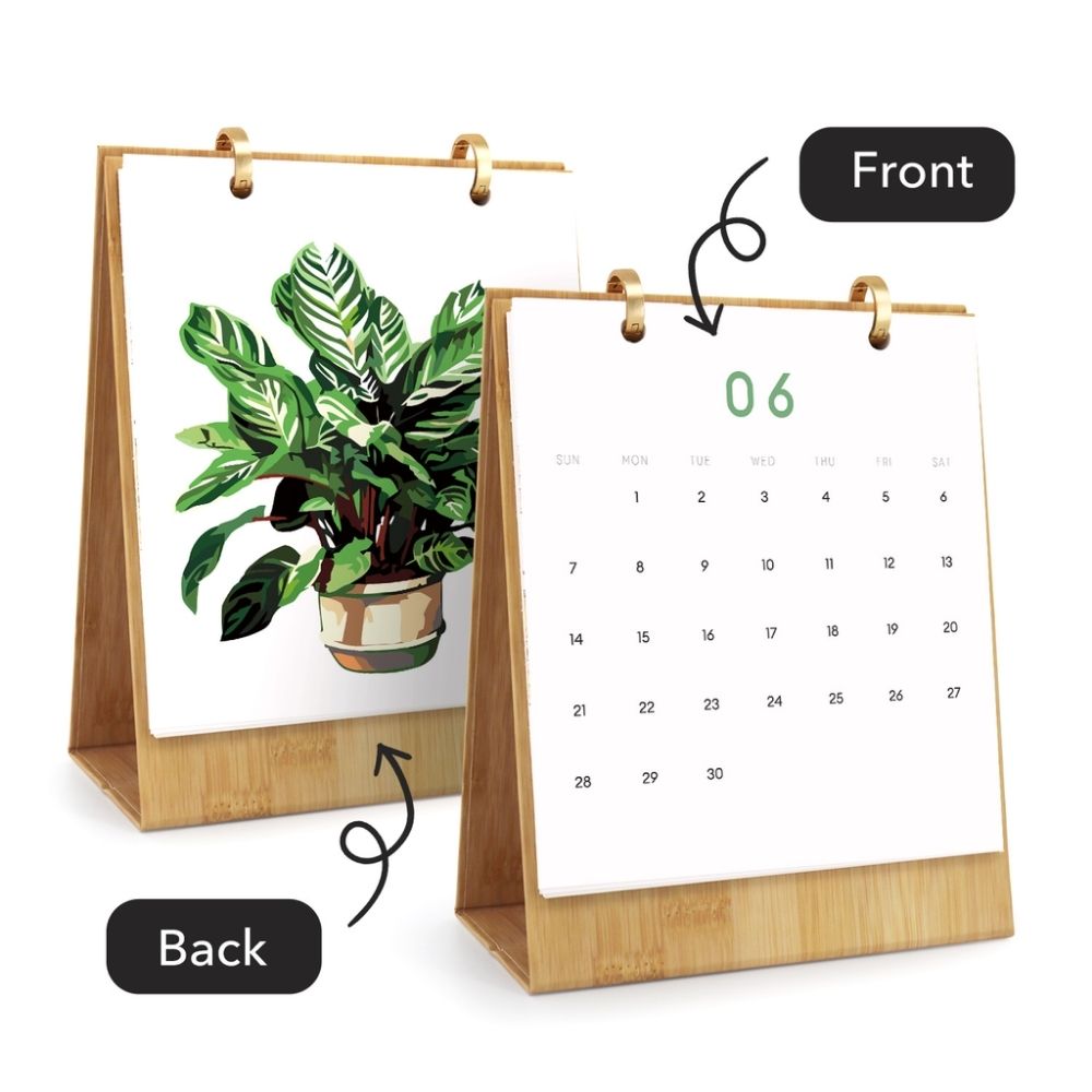 Paint by Numbers Calendar 2026 - Potted Houseplants