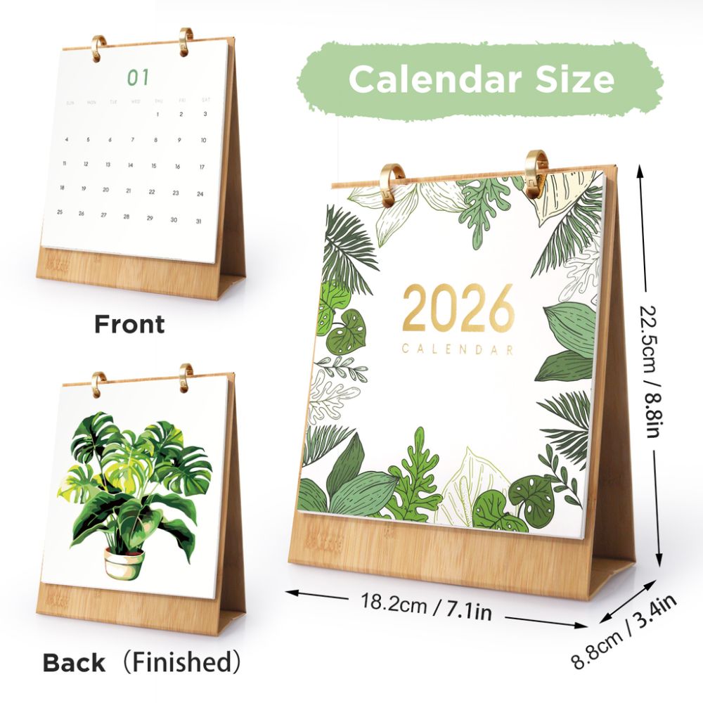 Paint by Numbers Calendar 2026 - Potted Houseplants