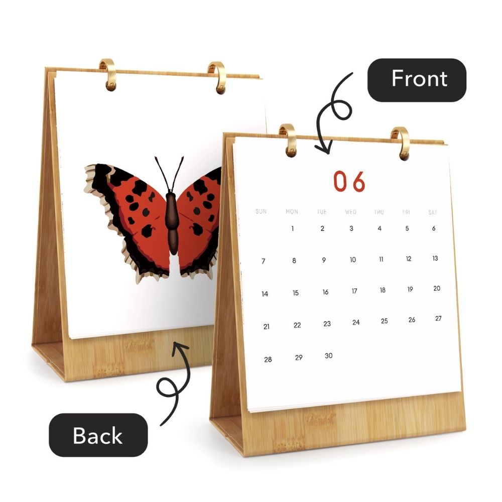 Paint by Numbers Calendar 2026 - Colorful Butterflies