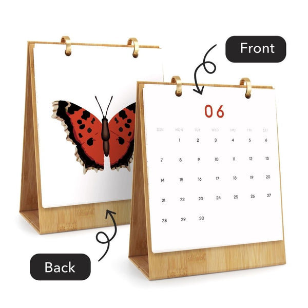 Paint by Numbers Calendar 2026 - Colorful Butterflies