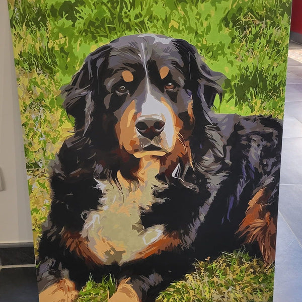 Custom Paint by Number