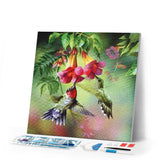 Diamond Painting | Diamond Painting - Hummingbirds | animals Diamond Painting Animals | FiguredArt