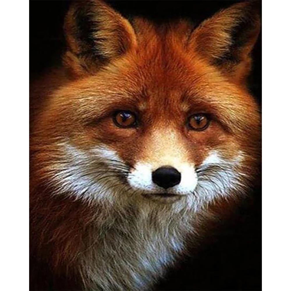 Diamond Painting - Little Fox