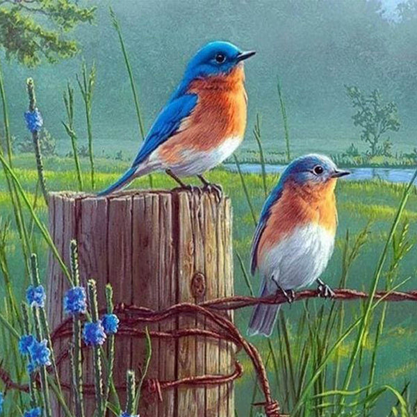 Diamond Painting - Small Birds