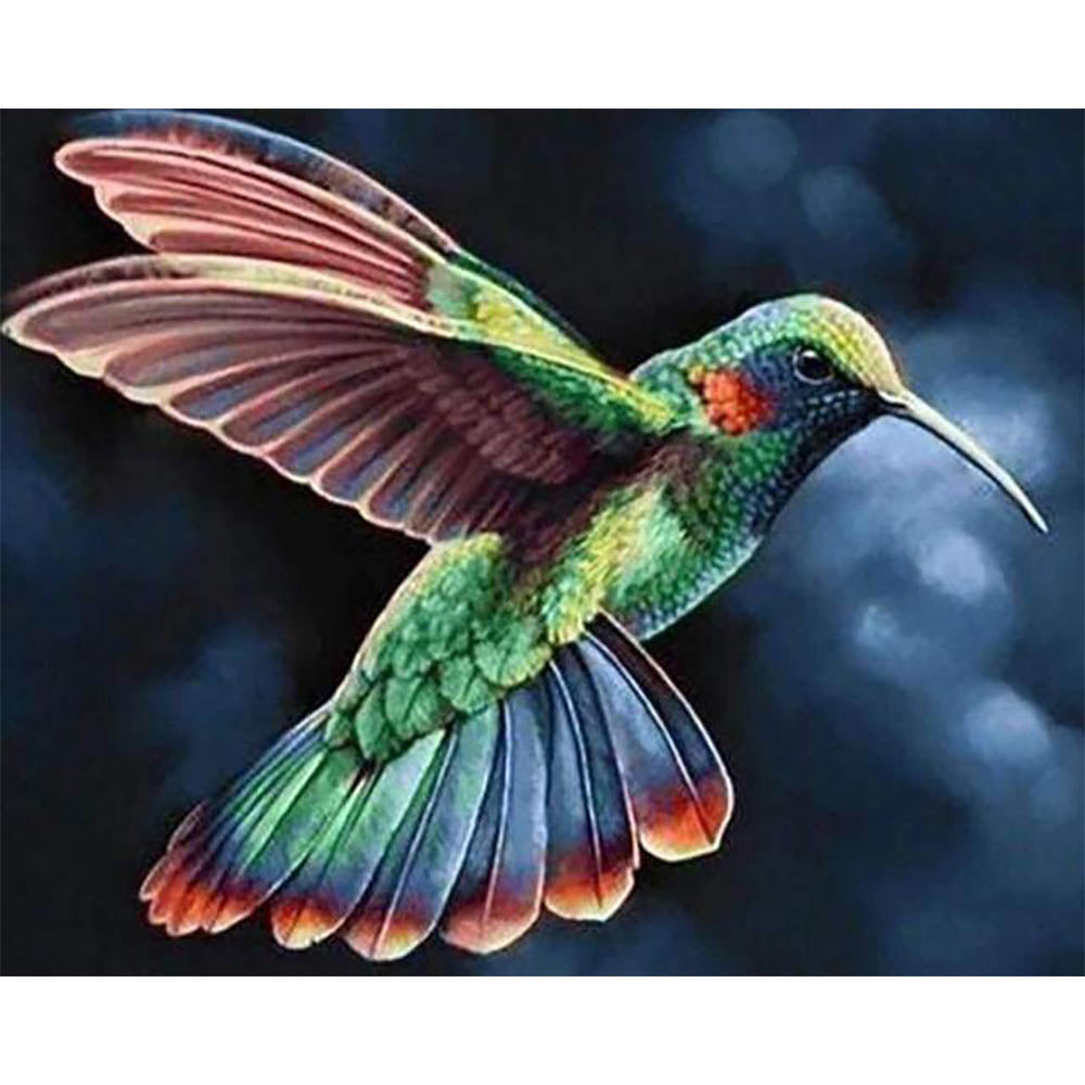 Diamond Painting - Hummingbird in the Night