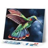 Diamond Painting | Diamond Painting - Hummingbird in the Night | animals Diamond Painting Animals | FiguredArt
