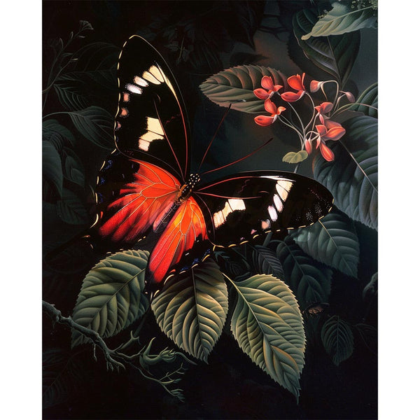 Diamond Painting - Moneta Longwing Butterfly and Foliage