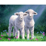 Paint by numbers Sheep Figured'Art new arrivals, intermediate, animals, sheep