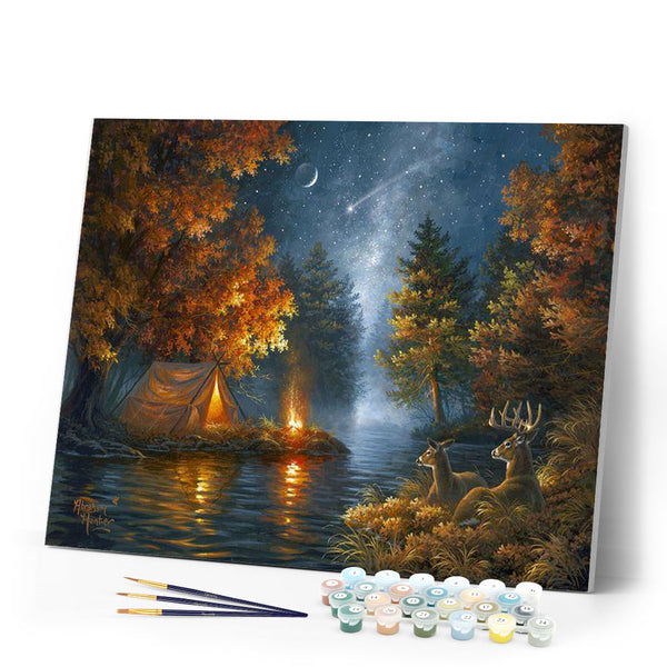 Camping under a Starry Night