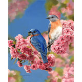 Paint by numbers Bluebirds Figured'Art new arrivals, intermediate, animals, birds