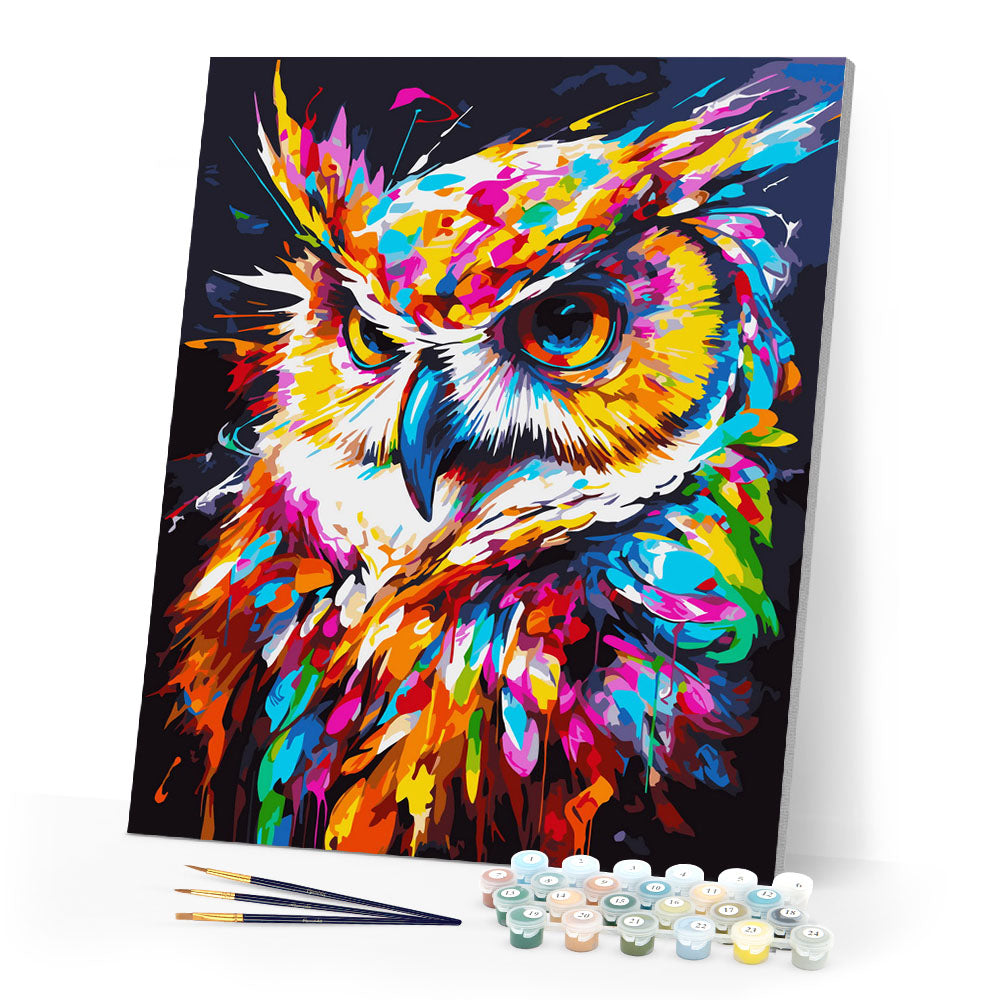 Paint by numbers kit Colorful Abstract Owl Figured'Art
