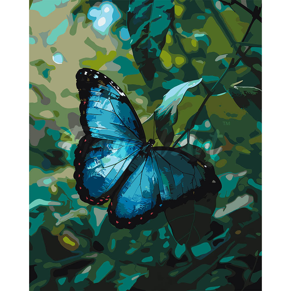 Blue Morpho Butterfly
