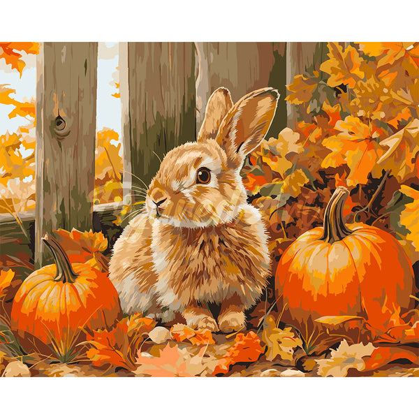 Bunny and Pumpkins