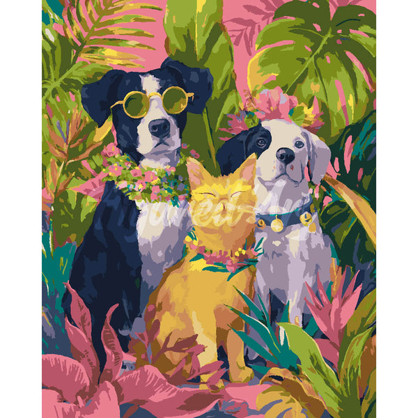Tropical Pet Trio