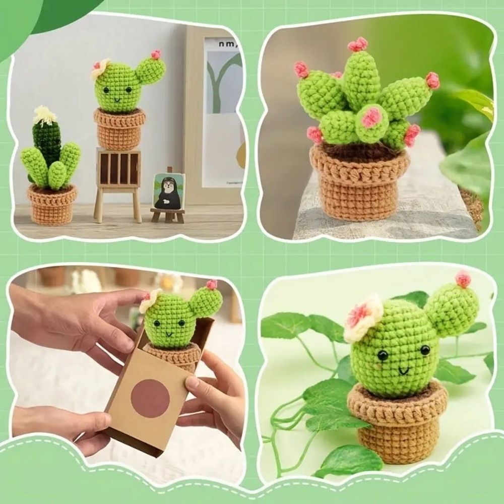 Lonsien Kit Crochet Débutants Complet Cactus Amigurumi - Laine, Crochets, Tutoriels Vidéo Pour Adultes Et Enfants
