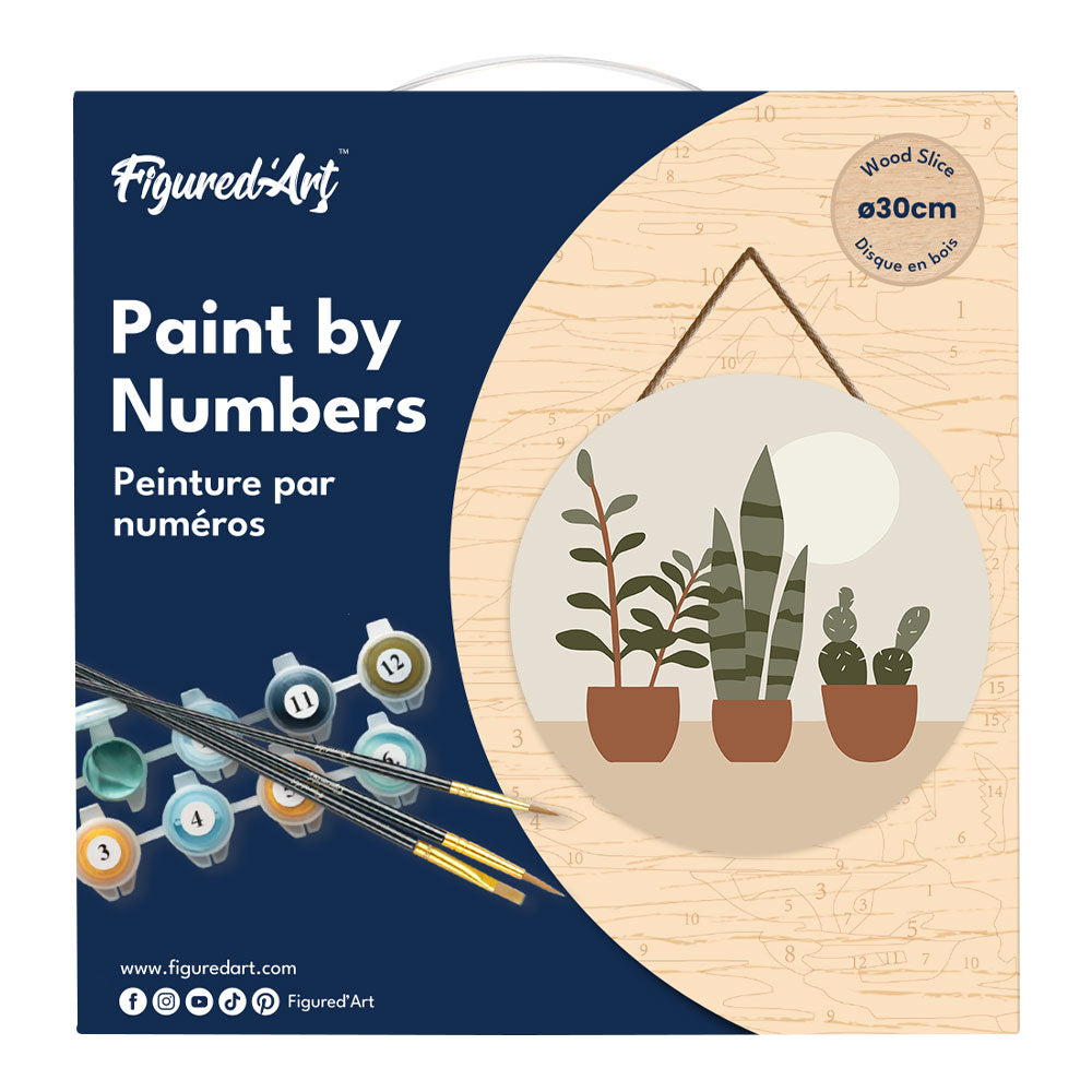 Paint by numbers on Wood Slice - Three plant pots
