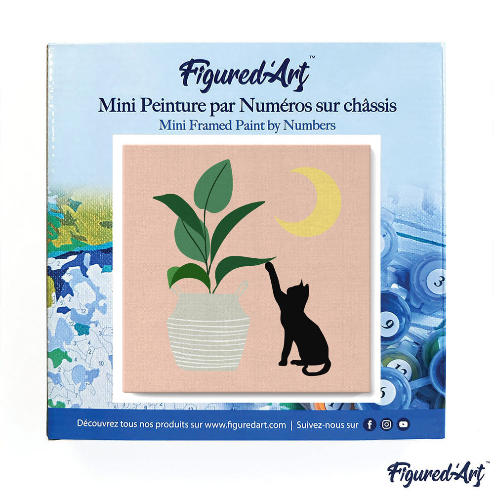 Mini Paint by numbers 8"x8" framed - Cat plays with plant in the moonlight