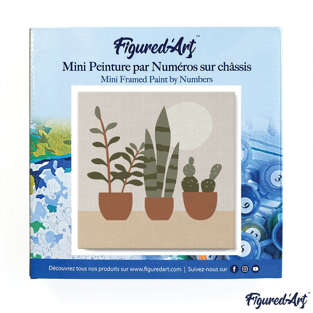 Mini Paint by numbers 8"x8" framed - Three plant pots