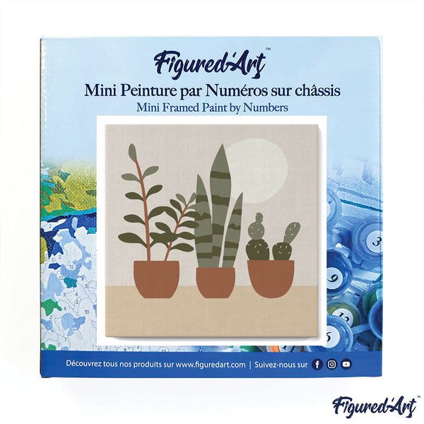 Mini Paint by numbers 8"x8" framed - Three plant pots