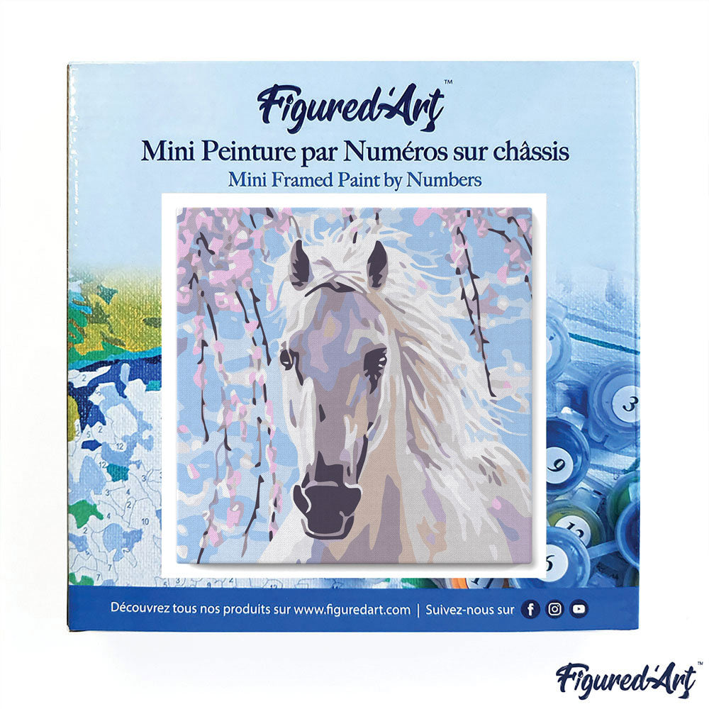 Mini Paint by numbers 8"x8" framed - White Horse And Flowers