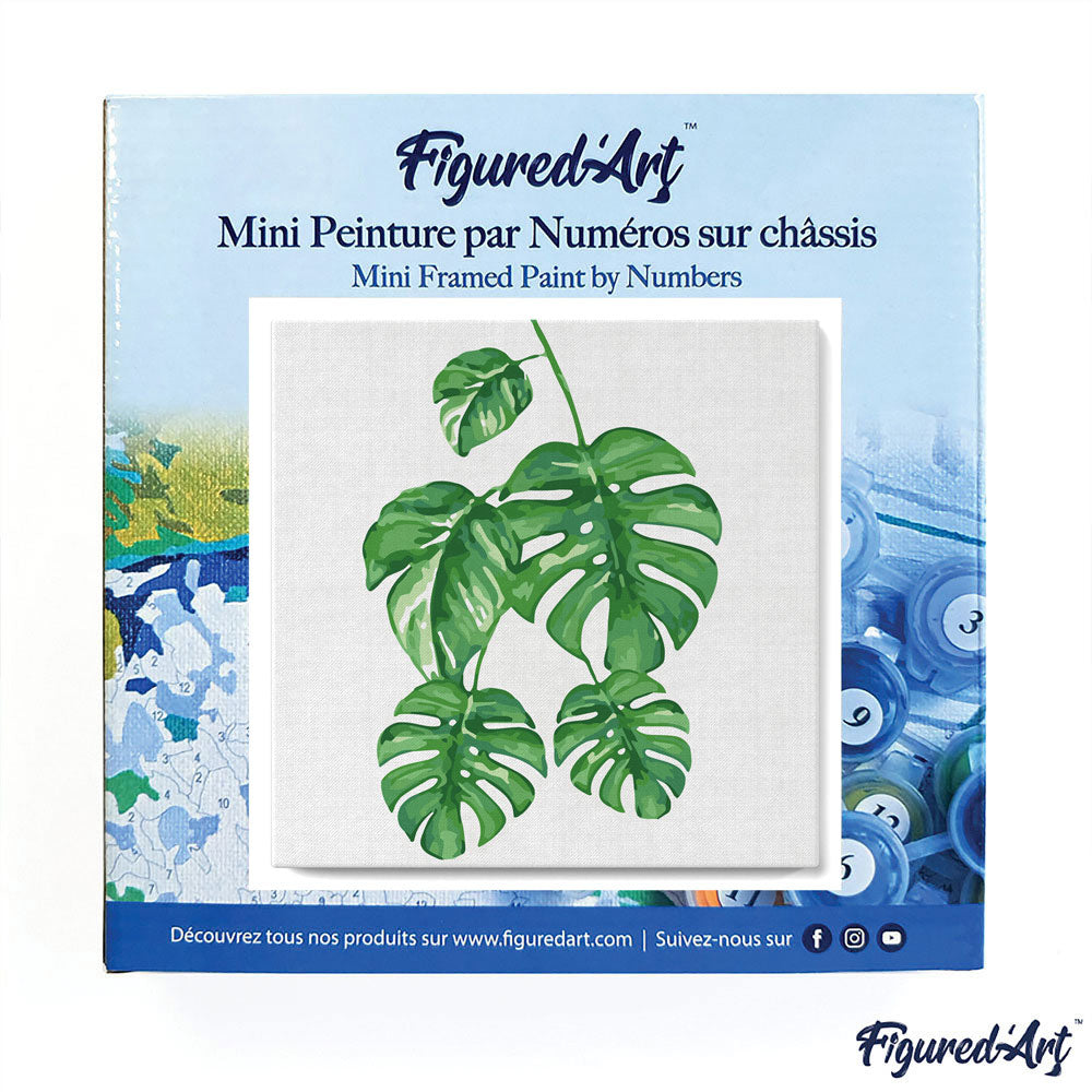 Mini Paint by numbers 8"x8" framed - Monstera Leaves