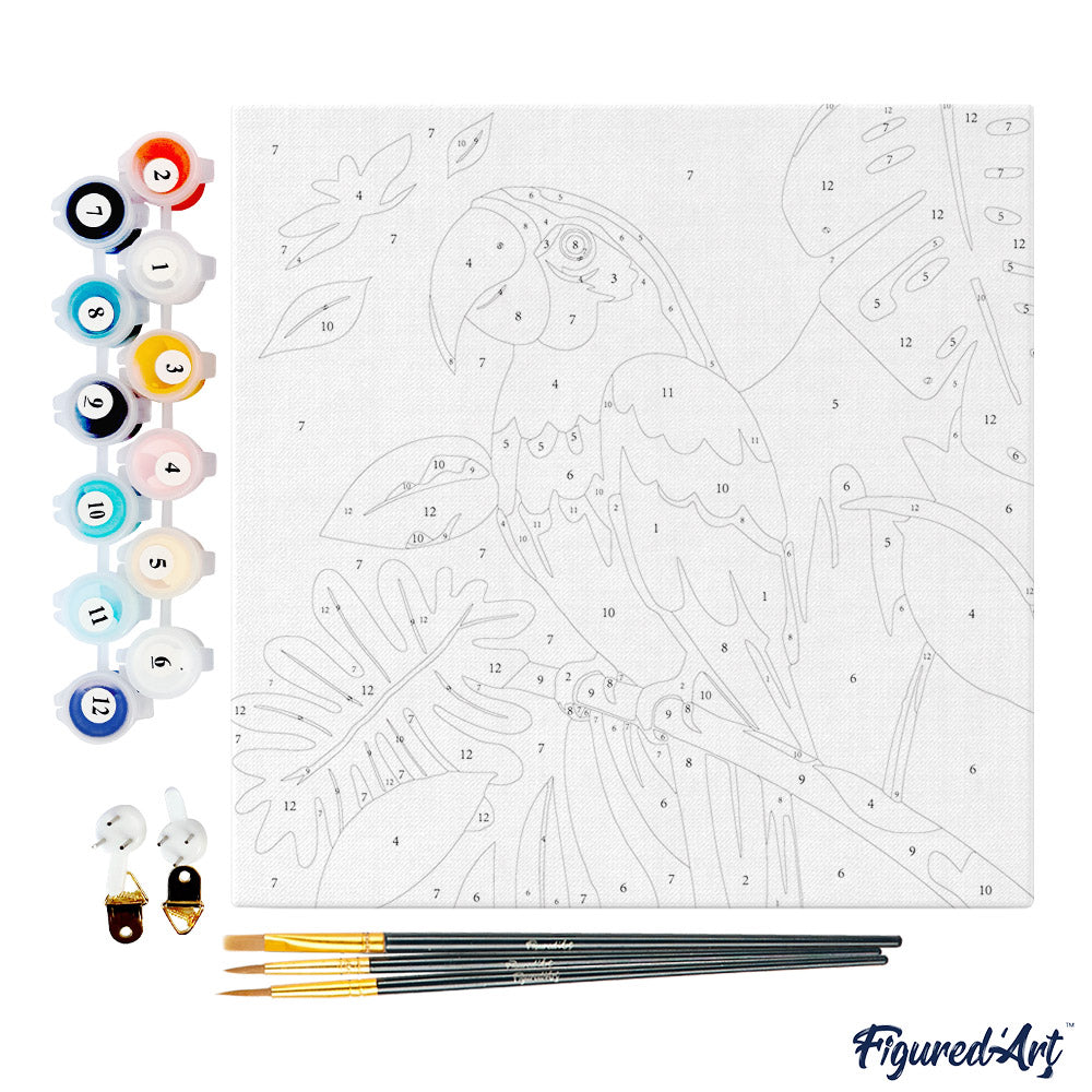 Mini Paint by numbers 8"x8" framed - Tropical Parrot