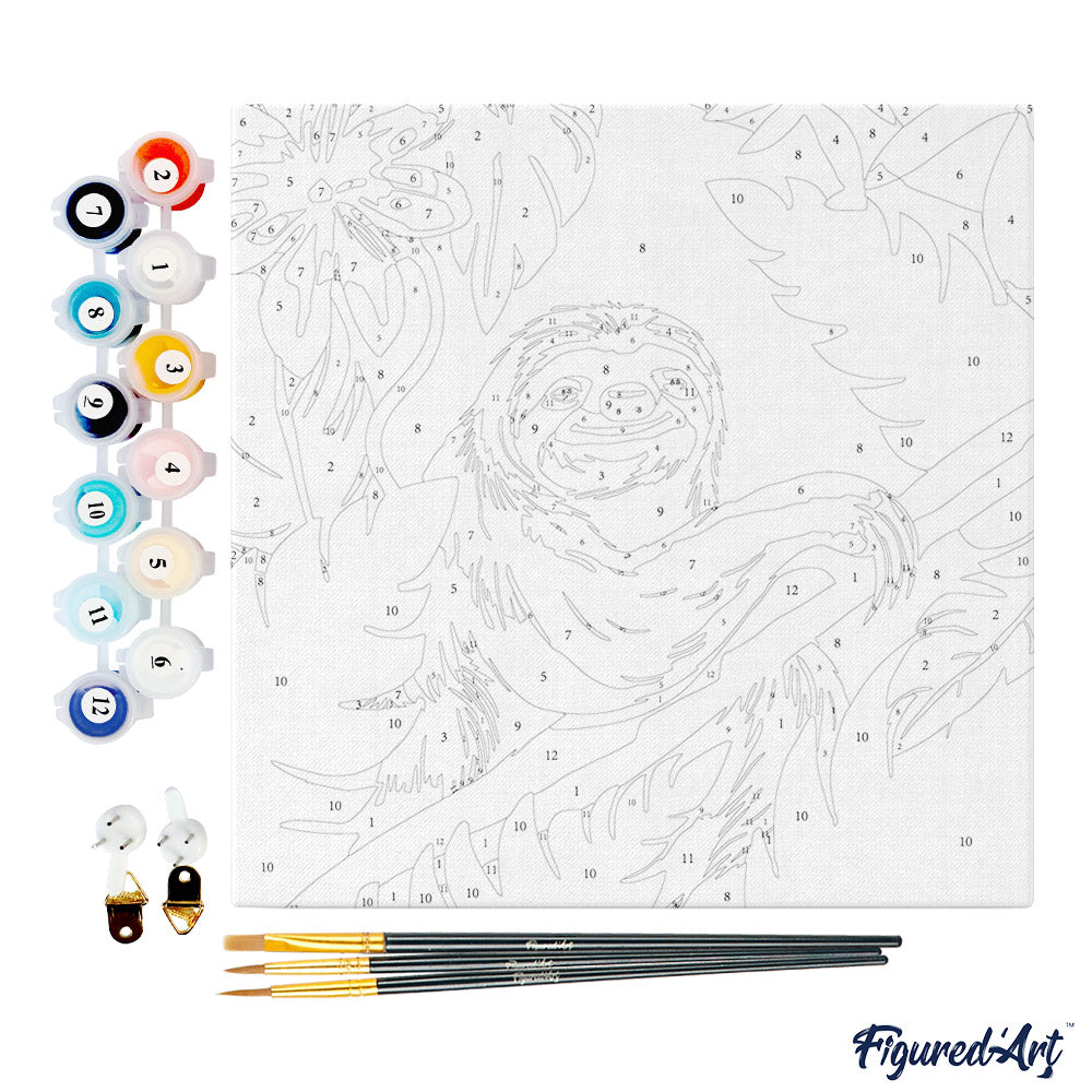 Mini Paint by numbers 8"x8" framed - Tropical Sloth