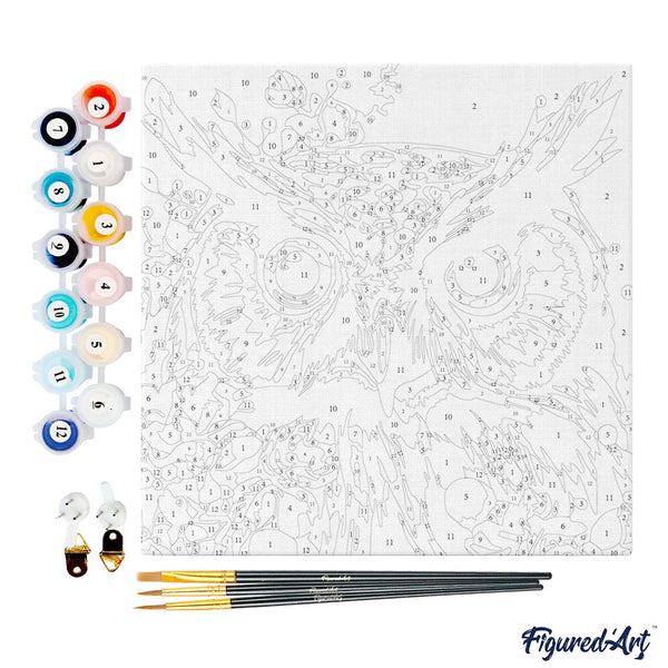 Mini Paint by numbers 8"x8" framed - Fantasy owl with flowers