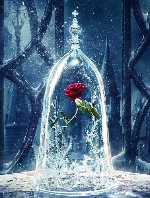 超レア 美品 美女と野獣 Enchanted Rose Paint by numbers - Enchanted Rose Beauty and The Beast – Figured'Art
