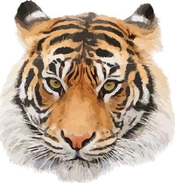 Paint by numbers - Tiger head – Figured'Art US