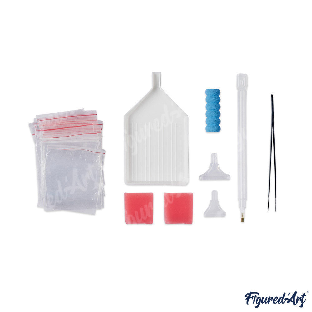 Diamond Painting Framed kit Accessory Overview - The Last Supper