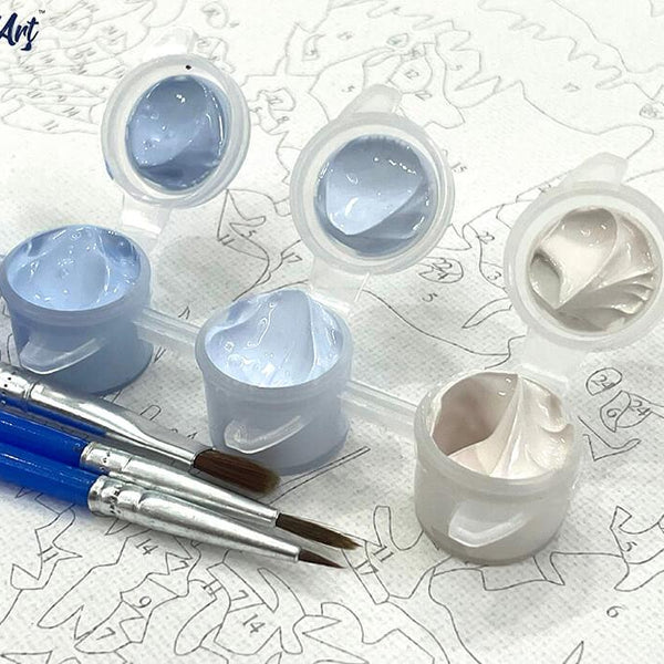 Custom Paint by Number