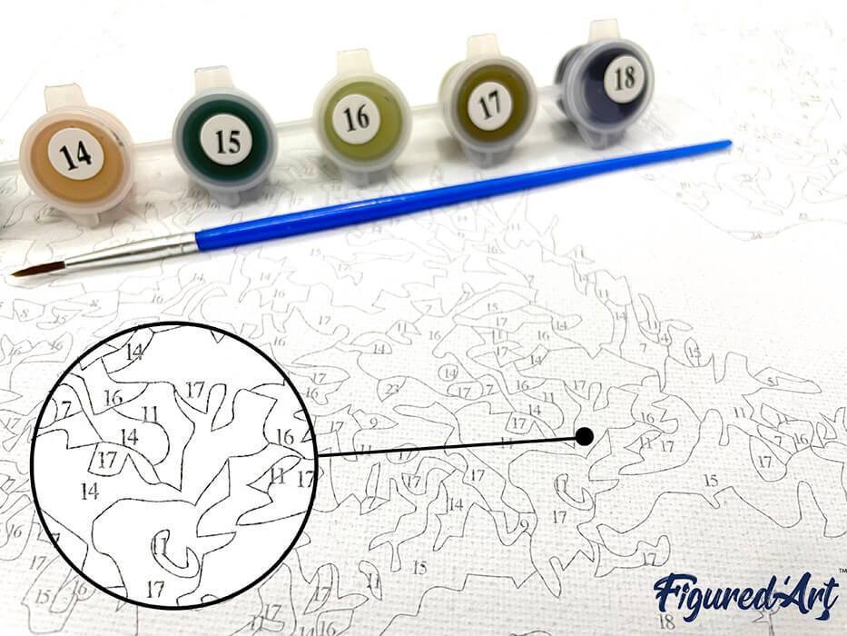 Custom Paint by Number